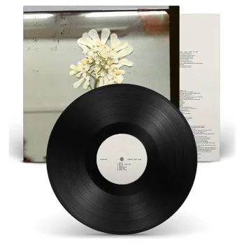 Zahraniční hudba Daughter - Stereo Mind Game (LP, 4AD0512LP)