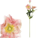 Autronic Čemeřice 60 cm