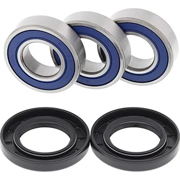 ALL BALLS ložiska zadního kola s těsnícími prvky YAMAHA TTR 250 99-06 (ALL BALLS ložiska zadního kola s těsnícími prvky YAMAHA TTR 250 99-06)