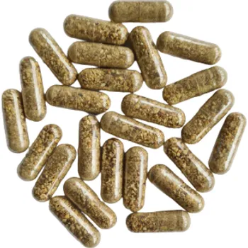 Kapsle Čekanka kořen, balení 30 ks