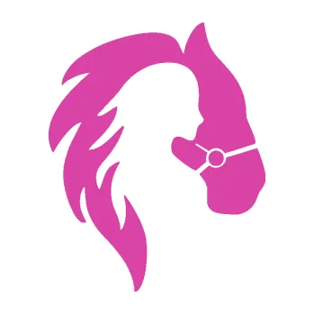 Samolepící dekorace Kůň 101 pravá s láskou (16 - růžová) SAMOLEPKA NA AUTO, NÁLEPKA, FÓLIE, POLEP, TUNING, VLASTNÍ TEXT, TISK, AUTOSAMOLEPKY.cz, POLEPY, OBRÁZEK, LOGO, 3D STICKERS