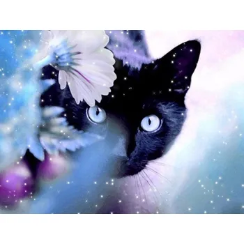 Gaira® Malování podle čísel Kočka M99770