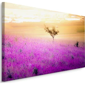 Plátno Strom Uprostřed Levandulového Pole Varianta: 30x20