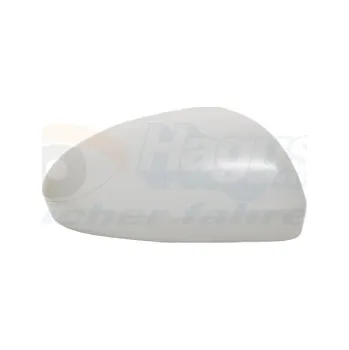 Auto zrcátko Kryt, vnější zrcátko VAN WEZEL 4407844