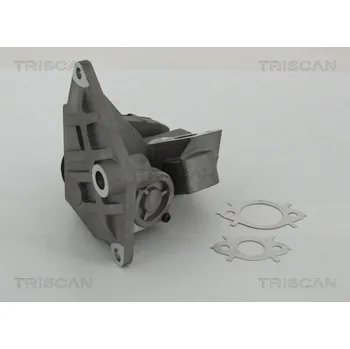 Ventil palivového systému TRISCAN AGR-Ventil 881329047