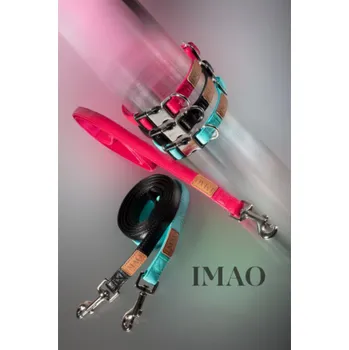 Postroj pro psa Zolux Postroj ZOLUX IMAO PICCADILLY 25 mm tyrkysový