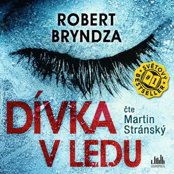Dívka v ledu - Robert Bryndza [E-kniha], mp3 ke stažení