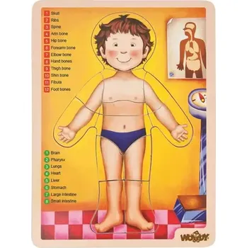 Puzzle Puzzle - lidské tělo AJ