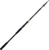 Rybářský prut Daiwa Legalis Tele Allround 300 cm/30-90 g