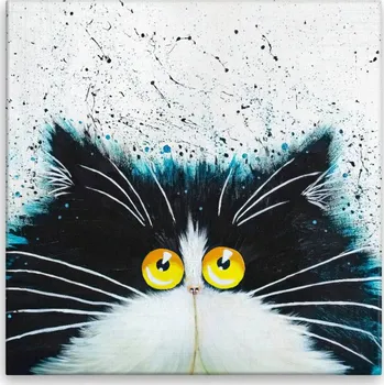 Obraz Obraz na plátně - Chlupáč s velkýma žlutýma očima - 40x40 cm - CZ výroba