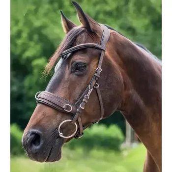 Obnosková uzdečka Cavesson anatomical pony-xfull