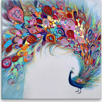 Obraz Obraz na plátně - Barevný páv - 40x40 cm - CZ výroba