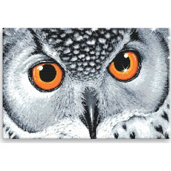 Diamantové malování Diamantové malování - Oranžové oči sovy - 60x40 cm, bez dřevěného rámu - CZ výroba