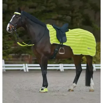 Pracovní reflexní bederní deka