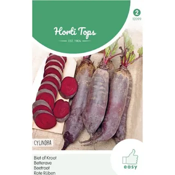 Semeno Červená řepa 'Cylindra' 5 g