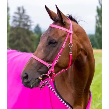 Uzdečka Endurance s ohlávkou
