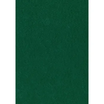 Dekorační plsť 20x30 cm, 2 mm, 350 g, tm. zelená č. 69