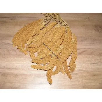 Krmivo pro ptáka LECODE H.K. INTLĹ Senegalské proso klasy červené 500 g