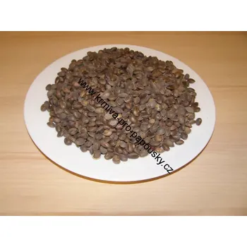 Krmivo pro ptáka Manitoba Cedr 10 kg