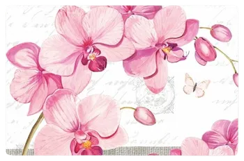 prostírání Plastové prostírání 1000661 43 x 28 cm orchidej