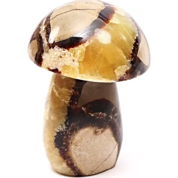 Drahý kámen Magieprirody.cz Houba z kamene Septárie 92 mm - 379 g #C11