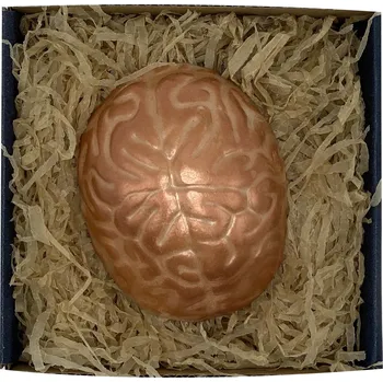 Čokoláda Chocolenka Čokoládový orgán - Mozek