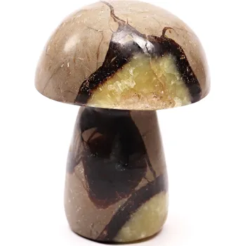 Drahý kámen Magieprirody.cz Houba z kamene Septárie 92 mm - 344 g #C3