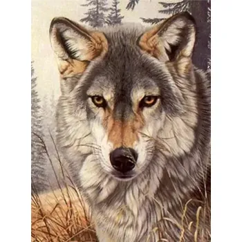 Diamantové malování Diamantové malování/Huacan - Hnědý vlk