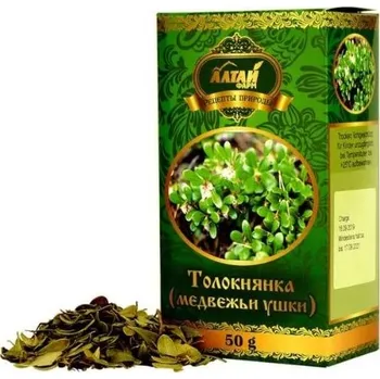 Toloknjanka (medvědí uši) 50g Altaj