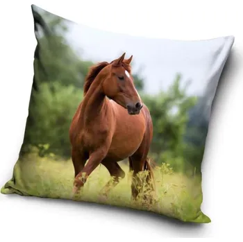 Povlak na dekorativní polštářek Povlak na polštářek - Kůň Hnědák