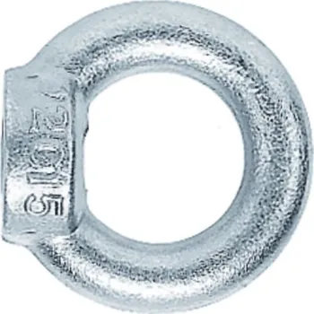 Matice Závěsná matice RI M10 DIN582 Zn 230kg