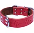 Obojek pro psa BAFPET EKG kožený obojek červený 57-67 cm/4 cm