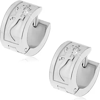 Náušnice Ocelové náušnice stříbrné barvy s velkou ještěrkou, kloubové zapínání