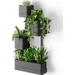 Nástěnný květináč Umbra Cubiko - černý černá