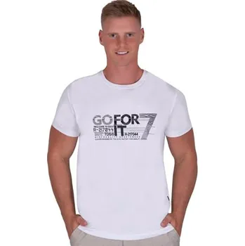 Pánské tričko Pánské tričko 329 TDS šedá melír XL