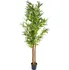 umělá květina Plantasia Bambus vysoký 160 cm