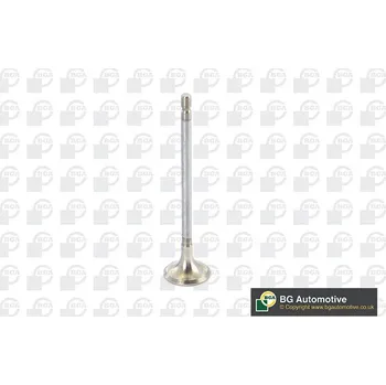 Ventil motoru Výfukový ventil, V123003