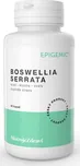 Epigemic Boswellia Serrata 90 cps.