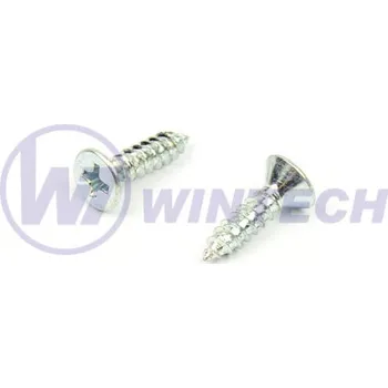 Šroub Šroub DIN 7982 C PH 4,2 x 19 ZB Balení: 1000 ks CBGDB42019BF4K