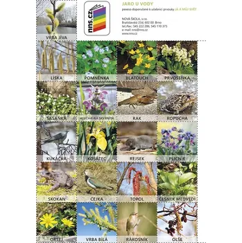 Pexeso Pexeso Jaro u vody