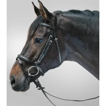 Sport Waldhausen STAR Uzdečka Lifestyle Barva: black/white, Velikost: MINISHETTY