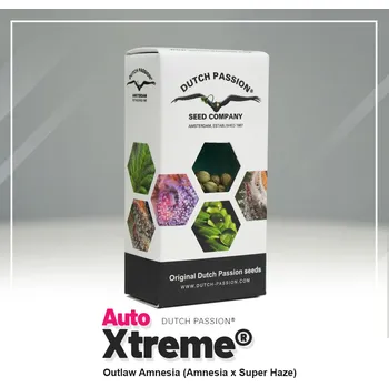Semeno Xtreme® AUTO – samonakvétací semena | Dutch Passion Feminized (Ks): 3 + 1 Zdarma