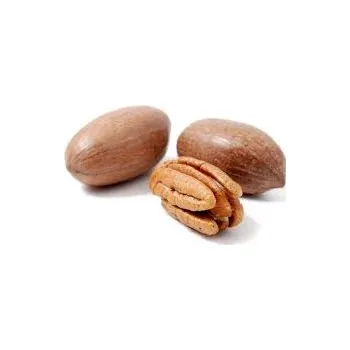 Krmivo pro hlodavce Pekanové ořechy nepražené ve skořápce (natural) 1 kg