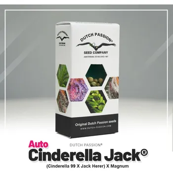 Semeno Cinderella Jack® AUTO – samonakvétací semena | Dutch Passion Feminized (Ks): 3 + 1 Zdarma