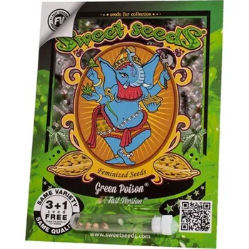 Semeno Green Poison F1 FAST Version® – rychlekvetoucí semena | Sweet Seeds Feminized (Ks): 3 + 1 Zdarma