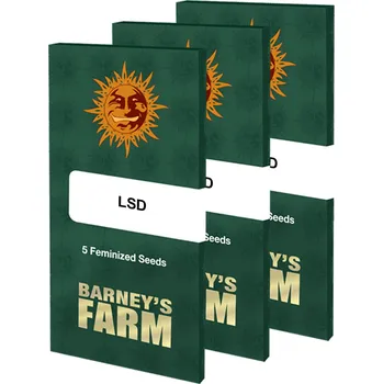Semeno L.S.D – feminizovaná semena | Barneys Farm Feminized (Ks): 1