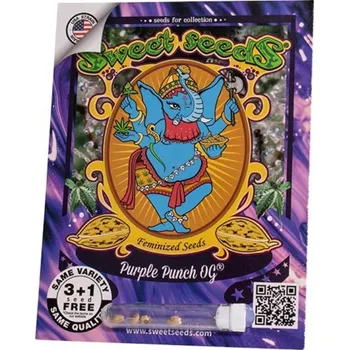 Semeno Purple Punch OG® – feminizovaná semena | Sweet Seeds Feminized (Ks): 3 + 1 Zdarma