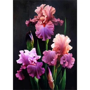 Diamantové malování Diamantové malování - Kosatce - č. 839 40x60 cm