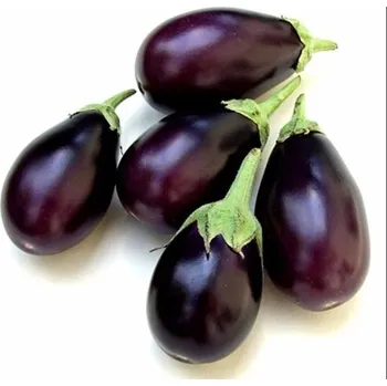 Čerstvé Baby Brinjal 1kg