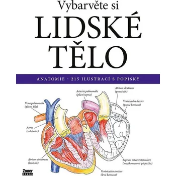 Vybarvěte si: Lidské tělo: Anatomie -…